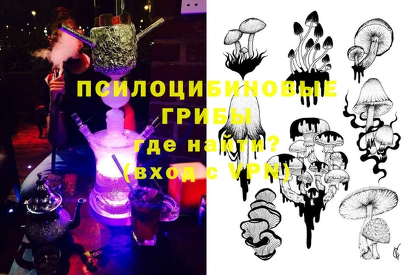 гашиш Заводоуковск