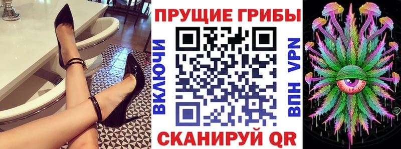 наркота  Дербент  Галлюциногенные грибы Cubensis 