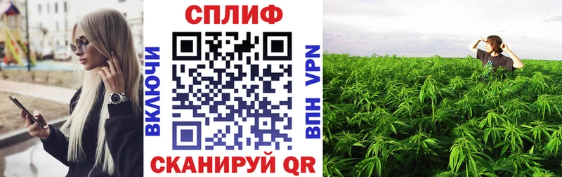 Шишки марихуана Ganja купить Дербент